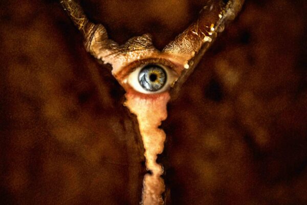 Yann Arthus-Bertrand cover